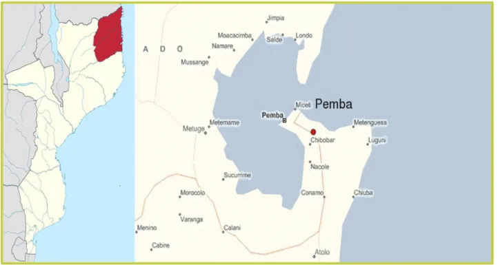 FIGURA 1: Localização da Baía de Pemba-Metuge na Província de Cabo Delgado, Moçambique