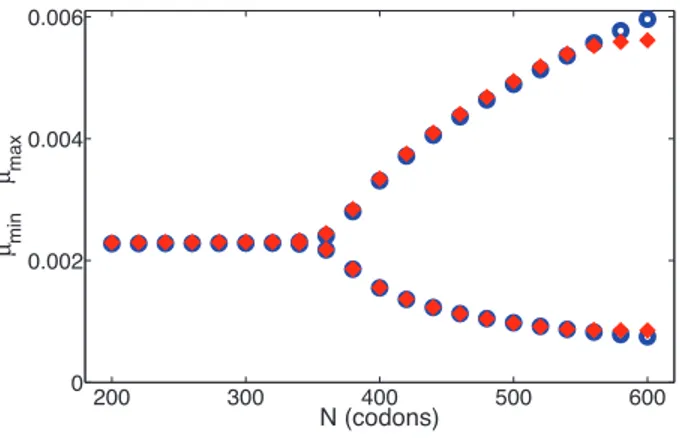 Figure 8. Maxima and minima of the mRNA concentration for different codon numbers. The maxima and minima of the mRNA concentration are shown after transients have decayed