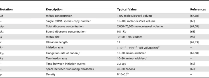 Table 1. Typical translation parameters for E. coli .