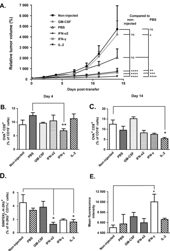 Fig 1. IFN-α2, IFN-γ and IL-2 augment anti-tumor efficacy but do not increase tumor-accumulation of transferred cells