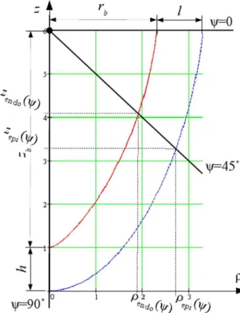 Figure 1. A radial section of the endocardial (solid red line) and epicardial (dashed blue line) surfaces of the LV model, from [27].