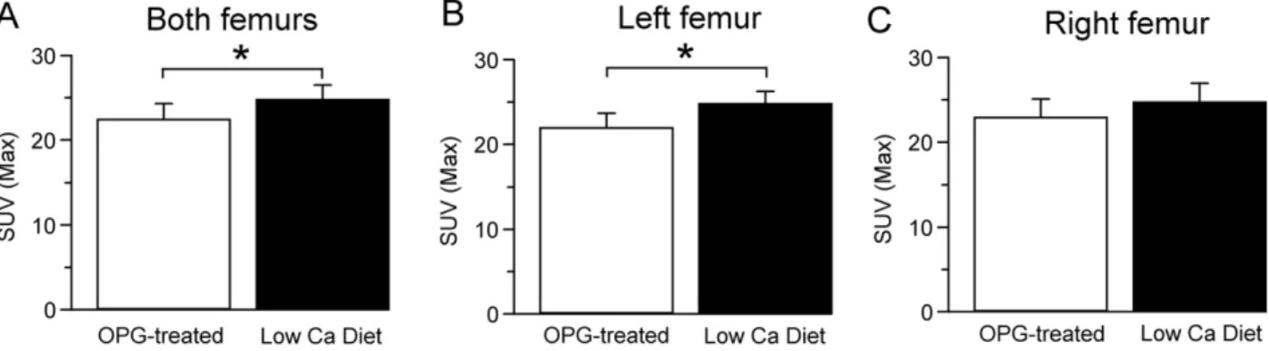 Figure 5 shows the autoradiographs of the mouse femur from each treatment group. Dark areas of the section, representing high levels of bound [ 3 H]PK11195 were observed beneath the growth plate, i.e