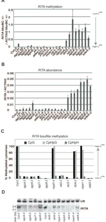 Figure 1. RITA characterization. (a) Methylation of RITA in seedlings as estimated by McrBC digestion in a panel of mutants