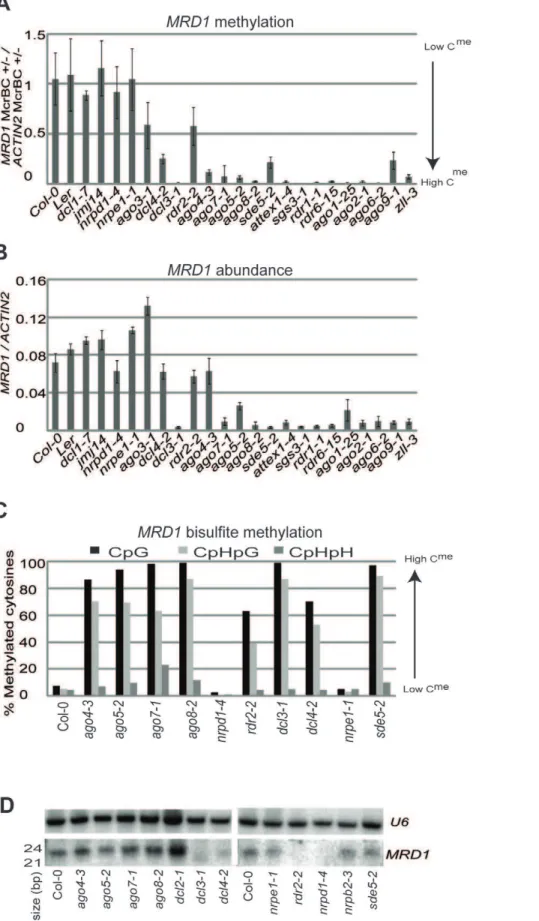 Figure 2. MRD1 characterization. (a) Methylation of MRD1 in seedlings as estimated by McrBC digestion in a panel of mutants