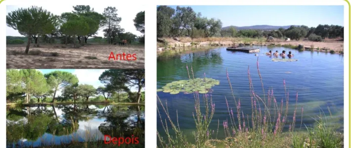 FIGURA 5: Contribuição das piscinas biológicas para a qualidade da paisagem. 