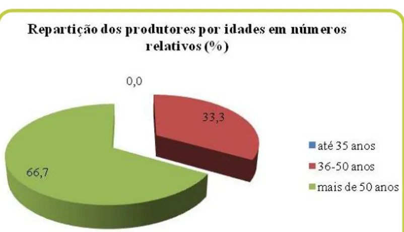 FIGURA  4:  Caracterização  dos  produtores  da  Associação  Bematchome, de acordo com a idade