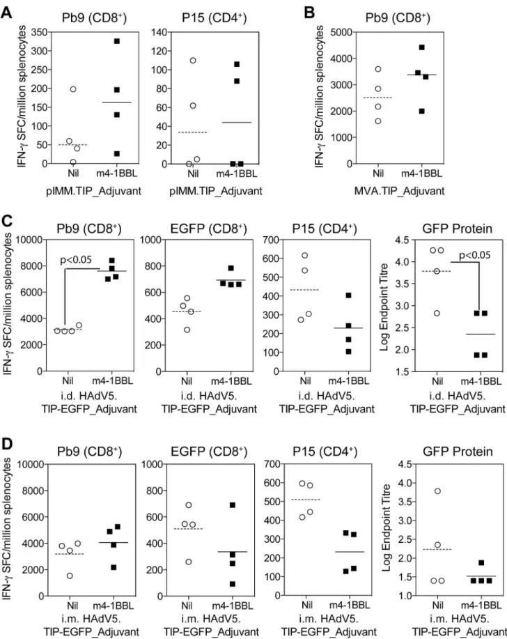 Figure 2. Screening of vectors in Balb/c mice. A) Balb/c mice were immunised i.m. with 50 mg of DNA plasmid pIMM.TIP or pIMM.TIP_m4-1BBL, spleens harvested at day 7 and the response to Pb9 and P15 measured by ELISpot