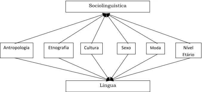 Figura 1: Relações entre o uso da língua e os sujeitos 
