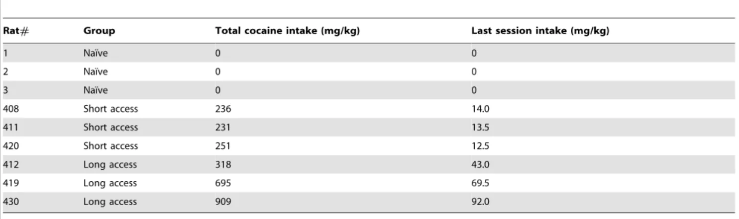 Table 1. Cocaine intake data for rats allowed to self-administer cocaine during 1 hr (short access) or 6 hr (long access) sessions.