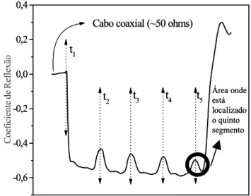 Figura 1. Esquema de interpretação da onda eletromagnética produzida por uma sonda multi-haste segmentada
