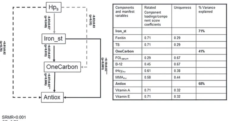 Fig 1. Structural equations model for associations between Hps, iron status, 1-C metabolites and markers of antioxidant status (N = 3,057):