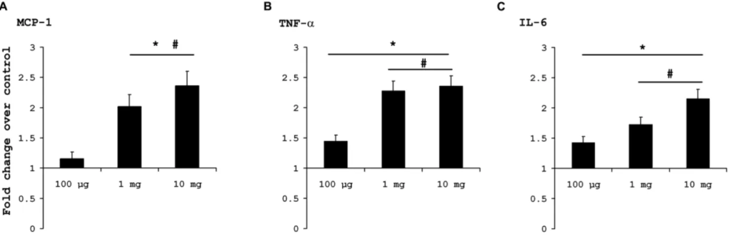 Figure 7. Treatment with B[a]P causes elevation of proinflammatory cytokines in the brain