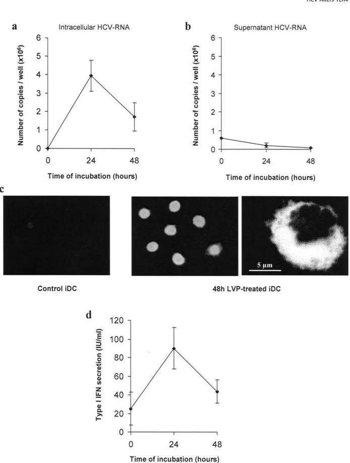 Figure 1. Effect of LVP on immature dendritic cells. (a, b) iDC were incubated for the indicated times with 66 10 5 HCV-RNA copies (4 HCV-RNA copies/cell)