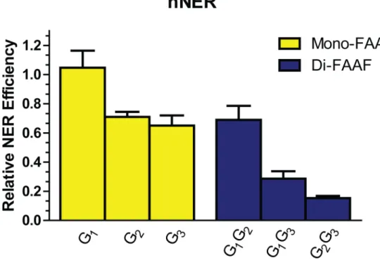 Fig 3. The efficiencies of NER at adducts in the Nar I sequence in the human NER system