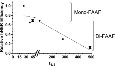 Fig 5. Comparison of hNER efficiency and half-life ( t 1/2 ) of the XPC-DNA complex. The data points were analyzed independently as mono- or di-FAAF adduct groups and the two dashed lines indicates the group trends