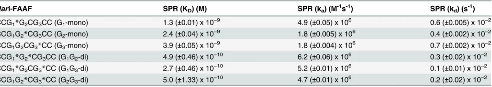 Table 2. Binding and dissociation parameters of UvrA 2 binding to FAAF-modified Nar I substrates.