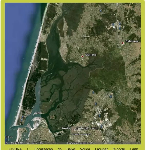 FIGURA  1:  Localização  do  Baixo  Vouga  Lagunar  (Google  Earth,  http://earth.google.com/intl/pt/ em 3-02-2010) 
