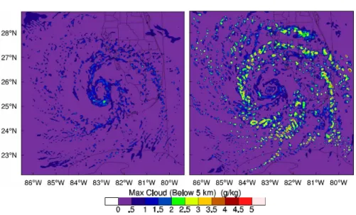 Fig. 2. Maximum cloud water contents in clouds of “natural” and “seeded” hurricane runs at 27 July 2005 18:00 UT