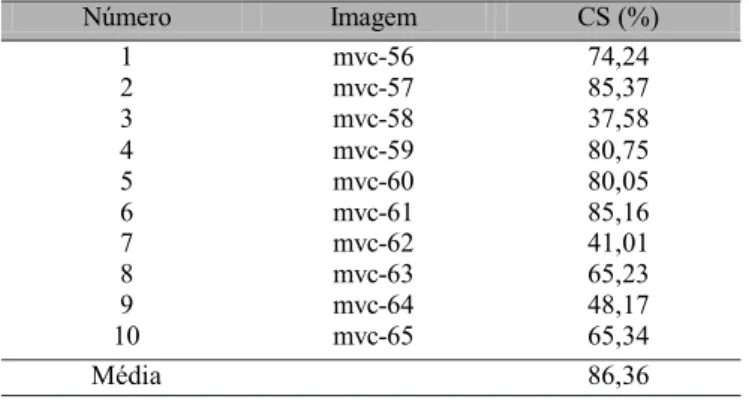Tabela 6. Porcentagem de cobertura do solo (CS) determinada pelo programa computacional para cada uma das imagens classificadas Número  Imagem  CS (%)  1 mvc-56  74,24  2 mvc-57  85,37  3 mvc-58  37,58  4 mvc-59  80,75  5 mvc-60  80,05  6 mvc-61  85,16  7 