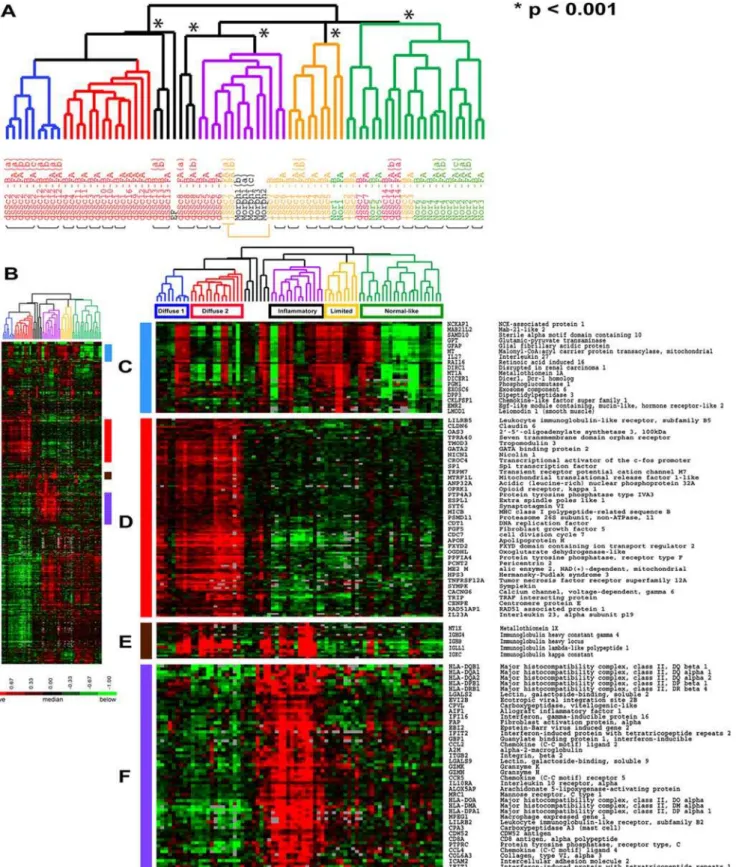 Figure 2. Cluster analysis using the scleroderma intrinsic gene set. The 995 most ‘intrinsic’ genes selected from 75 microarray hybridizations analyzing 34 individuals