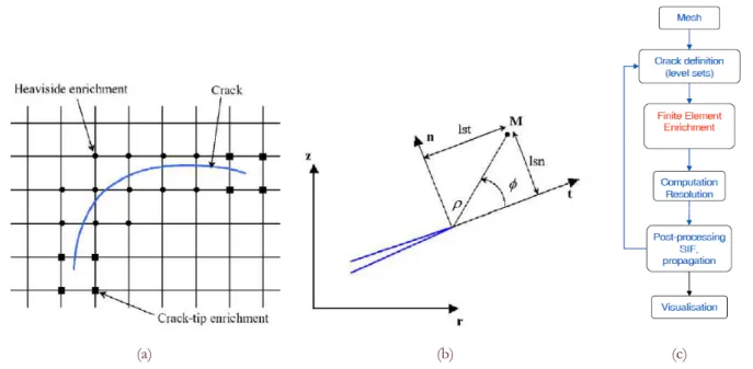 Figure 1: A representation of a crack with additional degrees of freedom for enriched elements (circle symbols represent the elements  enriched by the Heaviside function and square symbols represent the elements enriched by the singular functions) (a), glo