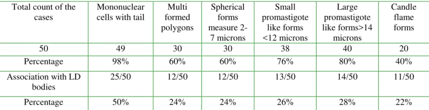 Figure 1. Mononuclear cells with tail  Figure 2. Mononuclear cells with tail 
