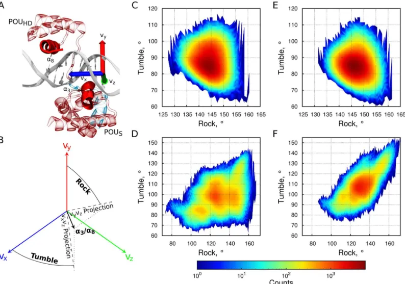 Fig 2. Orientational dynamics in DNA-bound configurations. (A,B) Schematic view of the coordinate system (A) and definition (B) of the Rock and Tumble angles describing the orientation of the docking helices (shown as opaque cartoons) of the two domains of