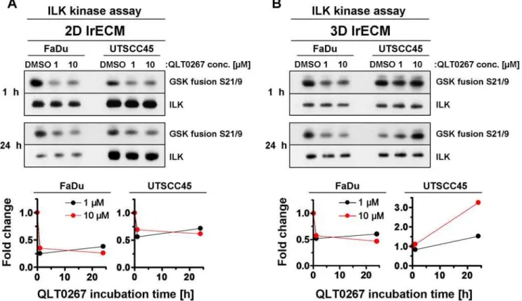 Figure 1. QLT0267 modifies ILK kinase activity in cell culture model-dependent manner