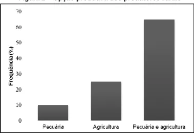 Figura 2 – Opção produtiva dos produtores rurais 