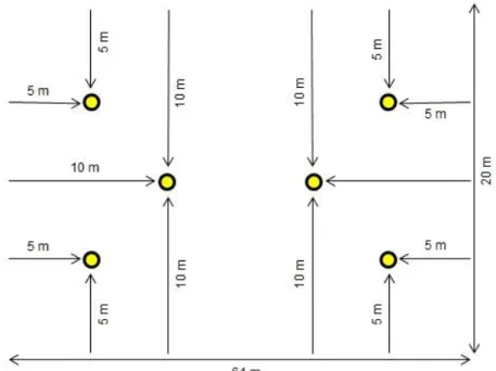 Figura 4 - Esquema de montagem das armadilhas: cada círculo amarelo representa uma estaca, onde  cada uma delas contém dois vasilhames fixados 