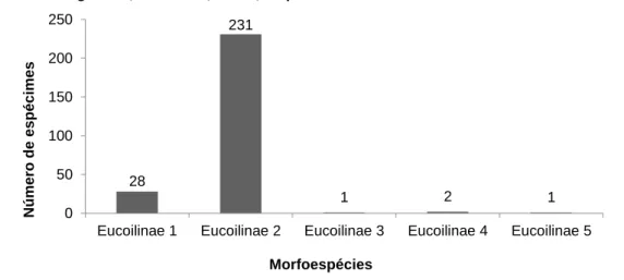 Figura 6 - Número total de indivíduos de morfoespécies de Eucoilinae coletados em cultivo de abacaxi  em Araguatins, Tocantins, Brasil, no período de novembro de 2014 a abril de 2015  