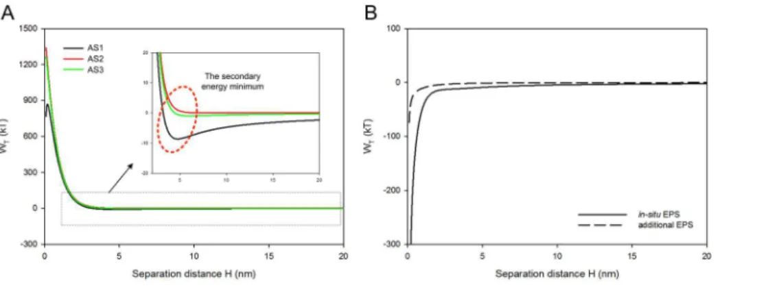 Fig 4. Total interaction energy curves of (A) sludge and (B) EPS.