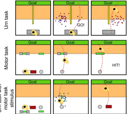 Fig 2. Experimental design. Top row. In the urn experiment, the trial was initiated by moving on a gray start bar