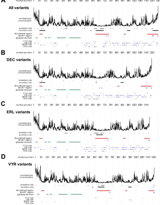 Figure 3. Overall characterization of BK channel variants. Sequence profiles of BK for (A) all 22 considered variants, (B) 6 DEC type variants, (C) 7 ERL type variants, and (D) 9 VYR type variants