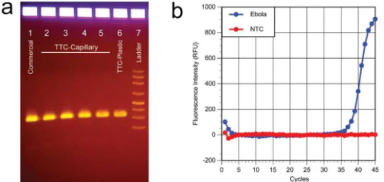 Fig 6a shows that RT-PCR of HIV RNA can be amplified in polypropylene PCR tubes using the TTC