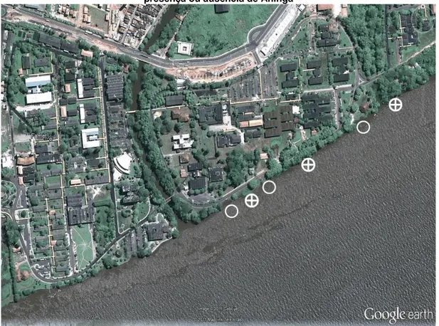 Figura 1 - Vista Parcial da área da Universidade Federal do Pará, destacando-se a orla onde foi  realizada a pesquisa de campo