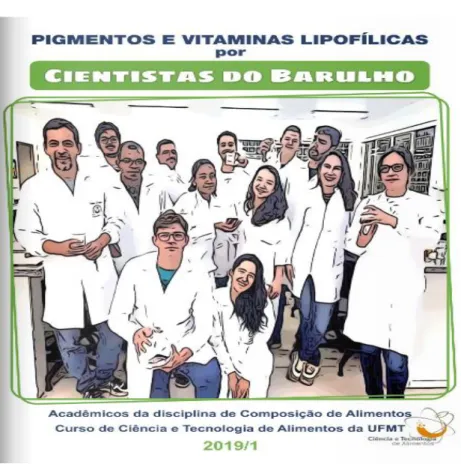 Figura 1: Capa das histórias em quadrinhos 