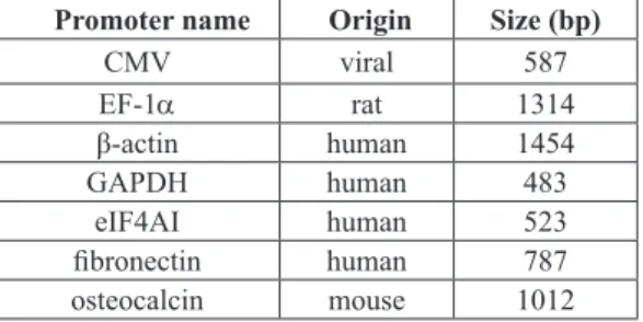 Table 2. Origin and length of the different  promoters tested.