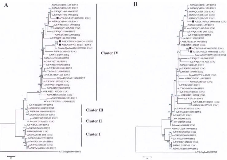 Figure 1. Phylogenetic analysis of the HA and NA genes. The HA (a) and NA (b) gene segments of the unique TR H3N2 viruses isolated from turkeys were compared with other TR H3N2 viruses from turkey (open circle), quail (open diamond) and pig (open triangles
