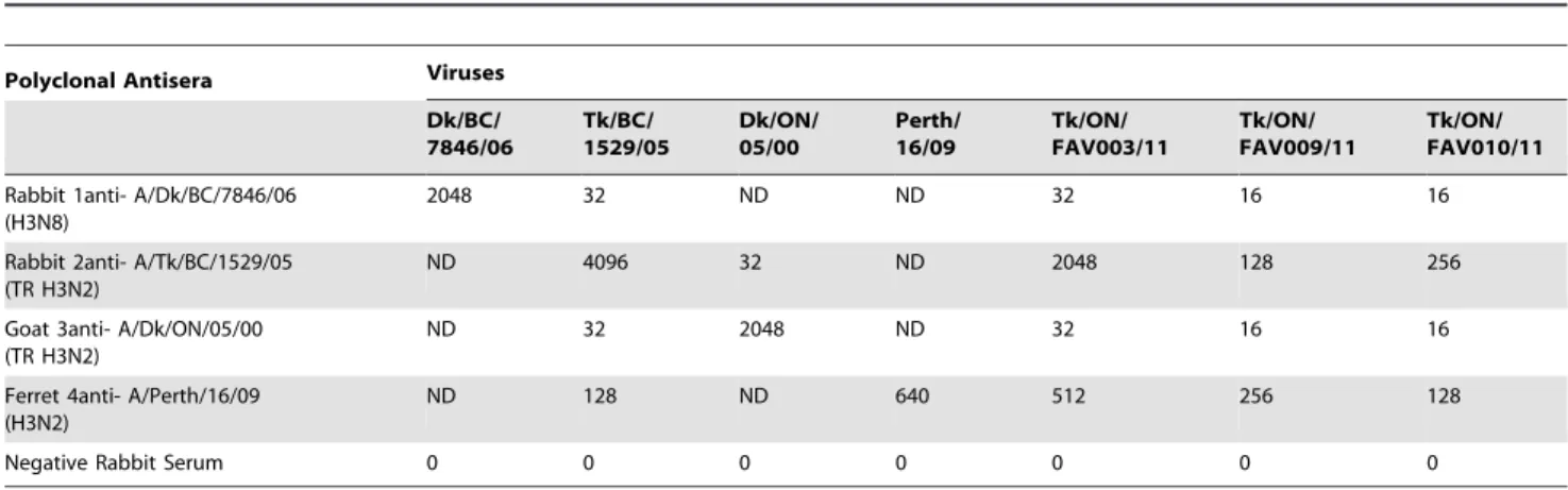 Table 5. Summary of cross neutralization assay results as determined by IPRVN of TR H3N2 viruses isolated from turkeys using various reference H3 antisera.
