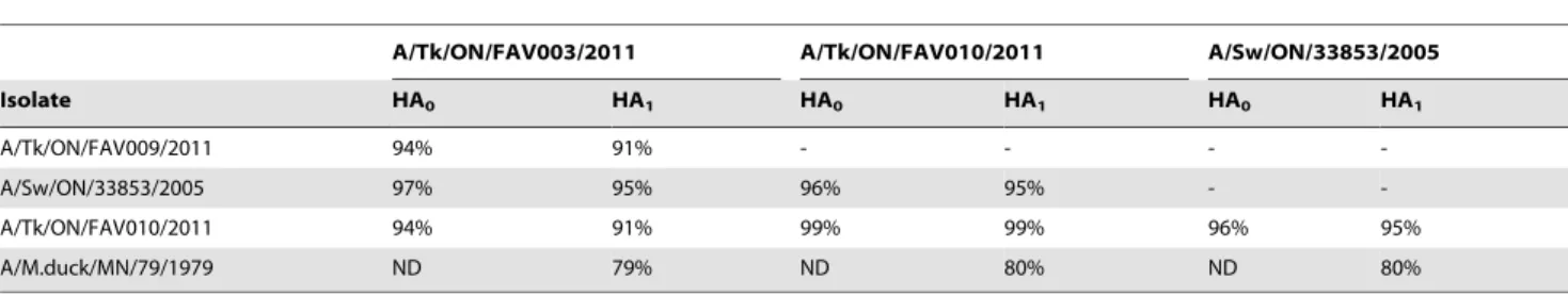 Figure 2. Locations of the amino acid alterations at the major antigenic sites of HA1 molecule in the H3 crystal structure