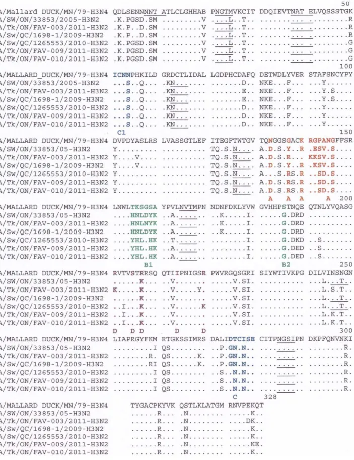 Figure 3. Alignment of the H3 HA1 amino acid sequences (without signal peptide). Amino acids of the HA1 subunit of the three unique turkey isolates, the duck H3N4 vaccine strain, a prototype cluster IV TR H3N2 virus (A/SW/ON/33853/2005) and phylogeneticall