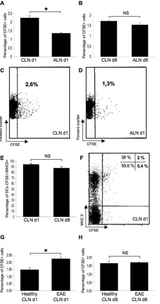 Figure 8. CSF-circulating DCs target the CLNs. In parallel experiments, DCs labeled with the cytoplasmic fluorescent marker CFSE were injected into the left lateral ventricle of control rats (n = 7) or EAE rats (n = 8) at the clinical peak of disease (day 