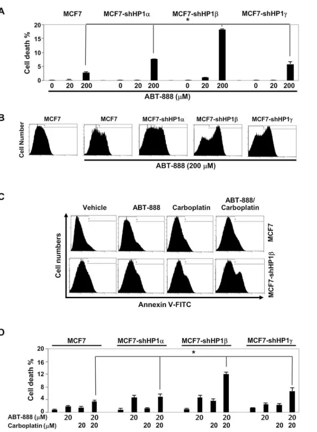 Fig 4. PARP inhibitor, ABT-888, induces apoptosis in HP1-depleted breast cancer cells