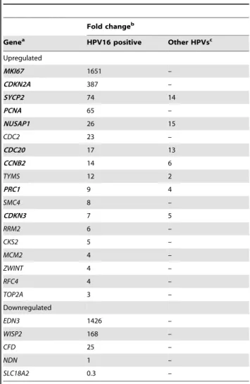 Figure 7A). Of the 9 genes analyzed using Kaplan-Meier curves, only CDKN3 was associated with poor survival (p = 0.004,  log-rank test; Figure 7B)