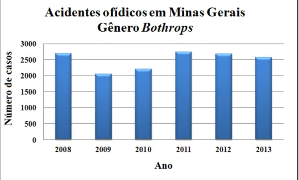 Figura 1: Acidentes ofídicos em Minas Gerais do gênero Bothrops. 