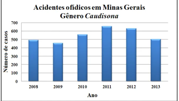 Figura 3: Acidentes ofídicos em Minas Gerais do gênero Micrurus. 