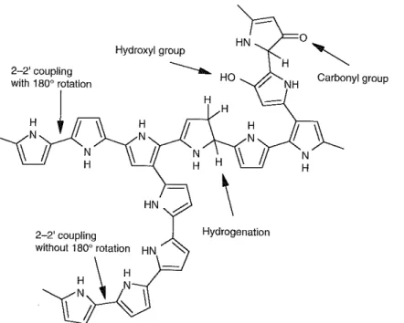 Fig. 2. Schematic representation of reticulated PPy  and possible chemical and conformational  defects   