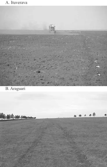Figura 2. Área experimental de Ituverava (A) e área experimental de Araguari (B)