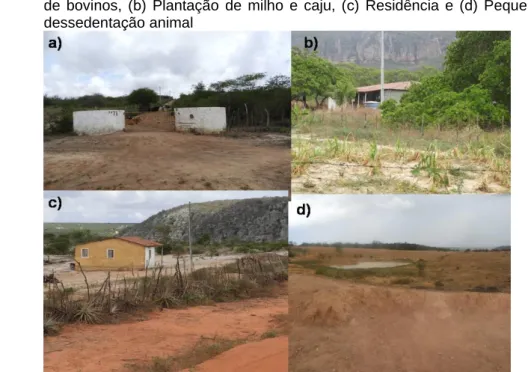 Figura 6 - Áreas antropizadas pela população residente no interior do Parna do Catimbau: (a)  Criação  de  bovinos,  (b)  Plantação  de  milho  e  caju,  (c)  Residência  e  (d)  Pequeno  barreiro  para  dessedentação animal 